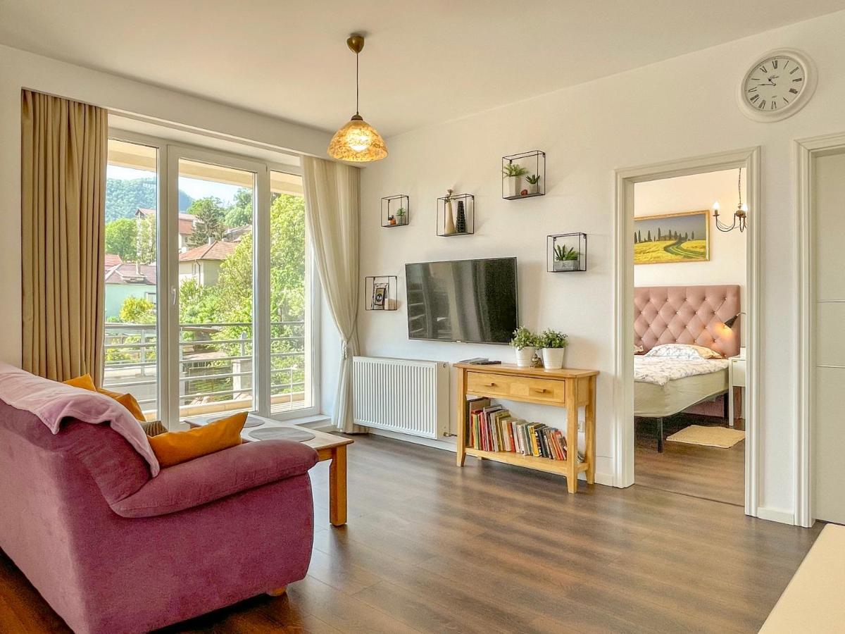 Central Premium Apartment Braşov Extérieur photo