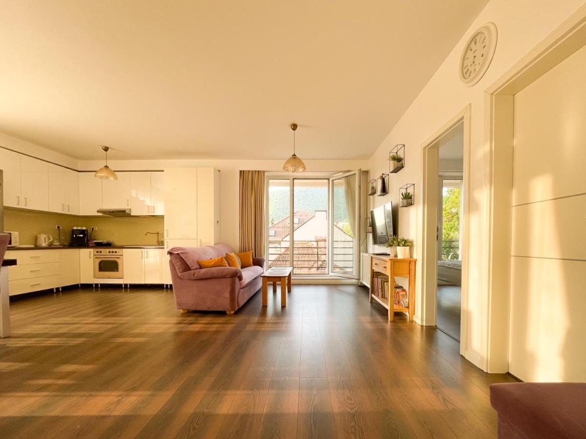 Central Premium Apartment Braşov Extérieur photo